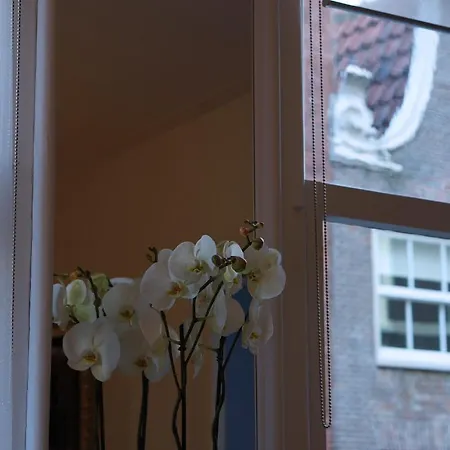 B & B Eye Amsterdam Amsterdam